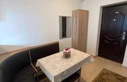 Apartament de doua camere, 30 mp, zona Porii 