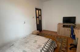 Apartament de doua camere, 30 mp, zona Porii 