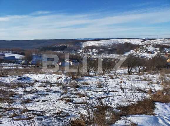 Teren de vânzare Baciu - 79696TV | BLITZ Cluj-Napoca | Poza1