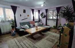 Casa individuala finisata si mobilata de 220 mp si teren 1300 mp, Jucu de Mijloc