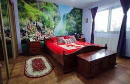 Casa individuala finisata si mobilata de 220 mp si teren 1300 mp, Jucu de Mijloc