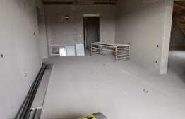 Penthouse 4 camere, semifinisat, terasa 21 mp, zona Cetatii 