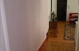 In Zorilor, 50 mp 2 camere de inchiriat!