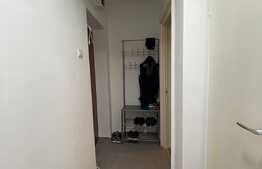 Apartament de 2 camere, decomandat, pet friendly, 40 mp, zona Hermes