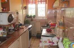 Vanzare apartament 2 camere, 48 mp, decomandat, zona Big