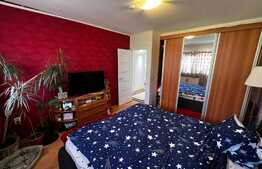 Duplex la cheie, 4 camere si pod mansardat, teren 290 mp, strada privata, zona Terra!