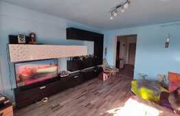 Apartament 2 camere, decomandat, 56 mp, terasa 200mp! zona Tractorul