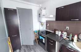 Apartament 2 camere, decomandat, 56 mp, terasa 200mp! zona Tractorul