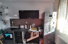 Apartament 2 camere, decomandat, 56 mp, terasa 200mp! zona Tractorul