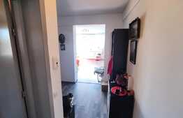 Apartament 2 camere, decomandat, 56 mp, terasa 200mp! zona Tractorul