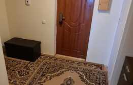 Apartament de 2 camere cu un view superb, zona Auchan Iris 