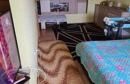 Apartament de 2 camere cu un view superb, zona Auchan Iris 