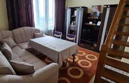 Apartament de 2 camere cu un view superb, zona Auchan Iris 