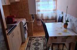 Apartament de 2 camere cu un view superb, zona Auchan Iris 