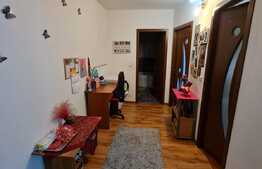 Apartament de 2 camere, mobilat si utilat, zona Eroilor