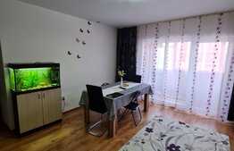 Apartament de 2 camere, mobilat si utilat, zona Eroilor