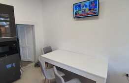 Reducere de pret! Pensiune la cheie, 2 apartamente, Turda Noua 