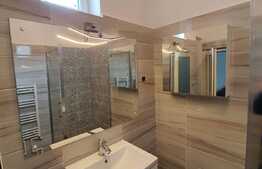 Reducere de pret! Pensiune la cheie, 2 apartamente, Turda Noua 