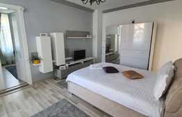 Reducere de pret! Pensiune la cheie, 2 apartamente, Turda Noua 