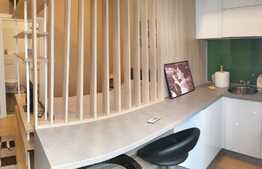 Garsoniera la prima inchiriere, 28 mp, parcare, curte, zona Vivo