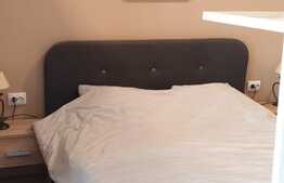 Garsoniera la prima inchiriere, 28 mp, parcare, curte, zona Vivo