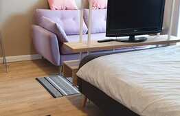 Garsoniera la prima inchiriere, 28 mp, parcare, curte, zona Vivo