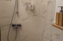 Garsoniera la prima inchiriere, 28 mp, parcare, curte, zona Vivo