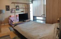 Garsoniera la prima inchiriere, 28 mp, parcare, curte, zona Vivo