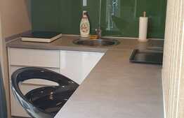 Garsoniera la prima inchiriere, parcare, curte, zona Vivo