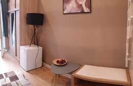 Garsoniera la prima inchiriere, parcare, curte, zona Vivo