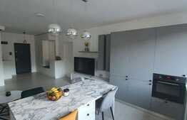 Apartament 2 camere, 55 mp, balcon, garaj, prima inchiriere, zona Vivo