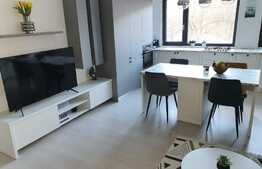Apartament 2 camere, 55 mp, balcon, garaj, prima inchiriere, zona Vivo