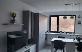 Apartament 2 camere, 55 mp, balcon, garaj, prima inchiriere, zona Vivo