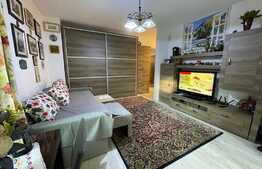 Apartament 2 camere cu gradina, zona LIDL