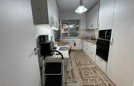 Apartament 2 camere cu gradina, zona LIDL