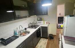 Apartament 2 camere decomandate, 53mp , gradina 120 mp! Zona Avram Iancu!