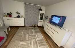 Apartament 2 camere decomandate, 53mp , gradina 120 mp! Zona Avram Iancu!