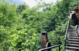 Investitie! Reședință cu destinație de pensiune,  382mp utili si 1000mp teren, în Sinaia