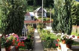 Investitie! Reședință cu destinație de pensiune,  382mp utili si 1000mp teren, în Sinaia