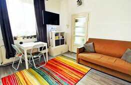 Super investitie! Garsoniera cu gradina in zona Horea