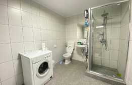 Hala de 144 mp, curte privata, parcari, zona Auchan Iris