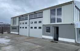 Hala de 144 mp, curte privata, parcari, zona Auchan Iris