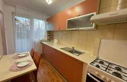 Apartament de 2 camere, decomandat, 51 mp, pet friendly, zona Iulius Mall