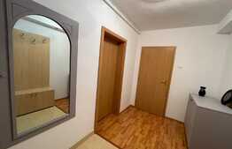 Apartament de 2 camere, decomandat, 51 mp, pet friendly, zona Iulius Mall