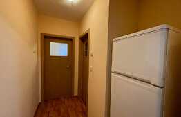 Apartament de 2 camere, decomandat, 51 mp, pet friendly, zona Iulius Mall