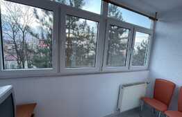 Apartament de 2 camere, decomandat, 51 mp, pet friendly, zona Iulius Mall