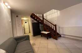 Garsoniera, 40 mp, petfriendly, zona strazii Iuliu Maniu