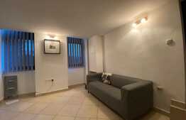 Garsoniera, 40 mp, petfriendly, zona strazii Iuliu Maniu