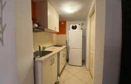 Garsoniera, 40 mp, petfriendly, zona strazii Iuliu Maniu