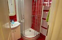 Garsoniera, 40 mp, petfriendly, zona strazii Iuliu Maniu